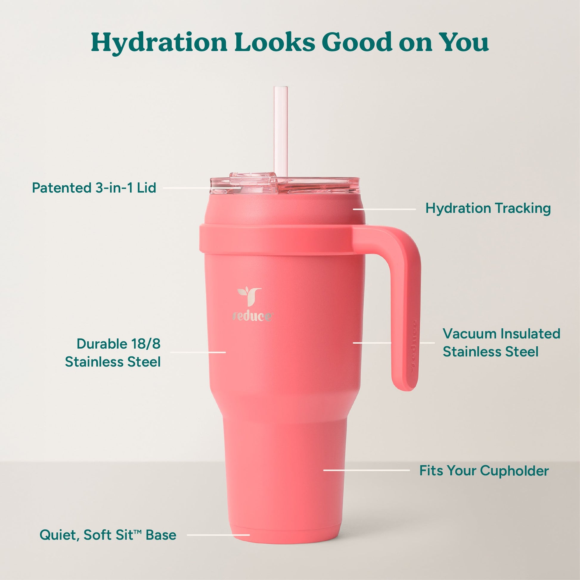 cold1-40-oz-q5 Cold1_40oz_Daiquiri_Infographic_2.jpg