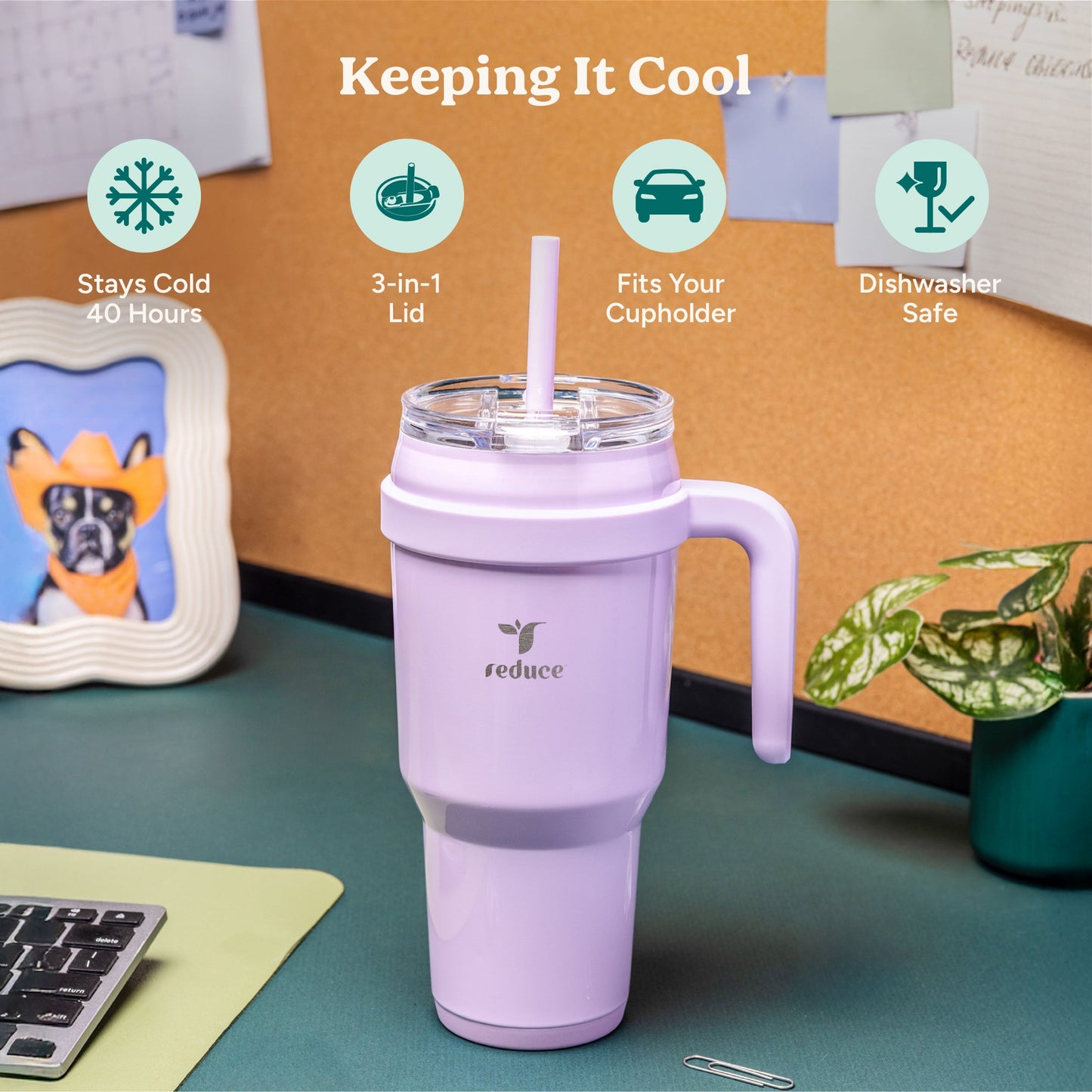 cold1-40-oz-q5 Cold1_40oz_LilacBud_Infographic_1.jpg