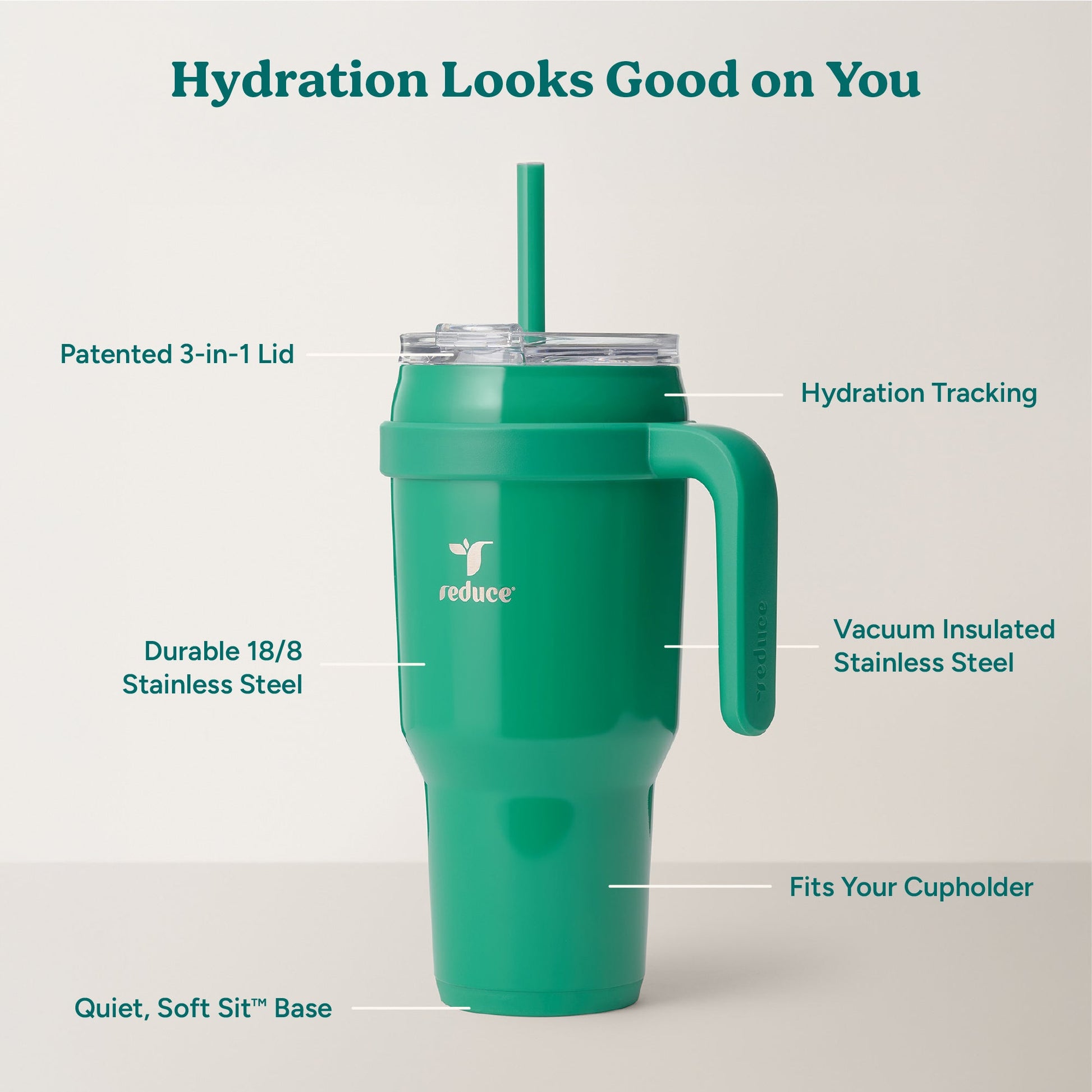 cold1-40-oz-q5 Cold1_40oz_PalmLeaf_Infographic_2.jpg