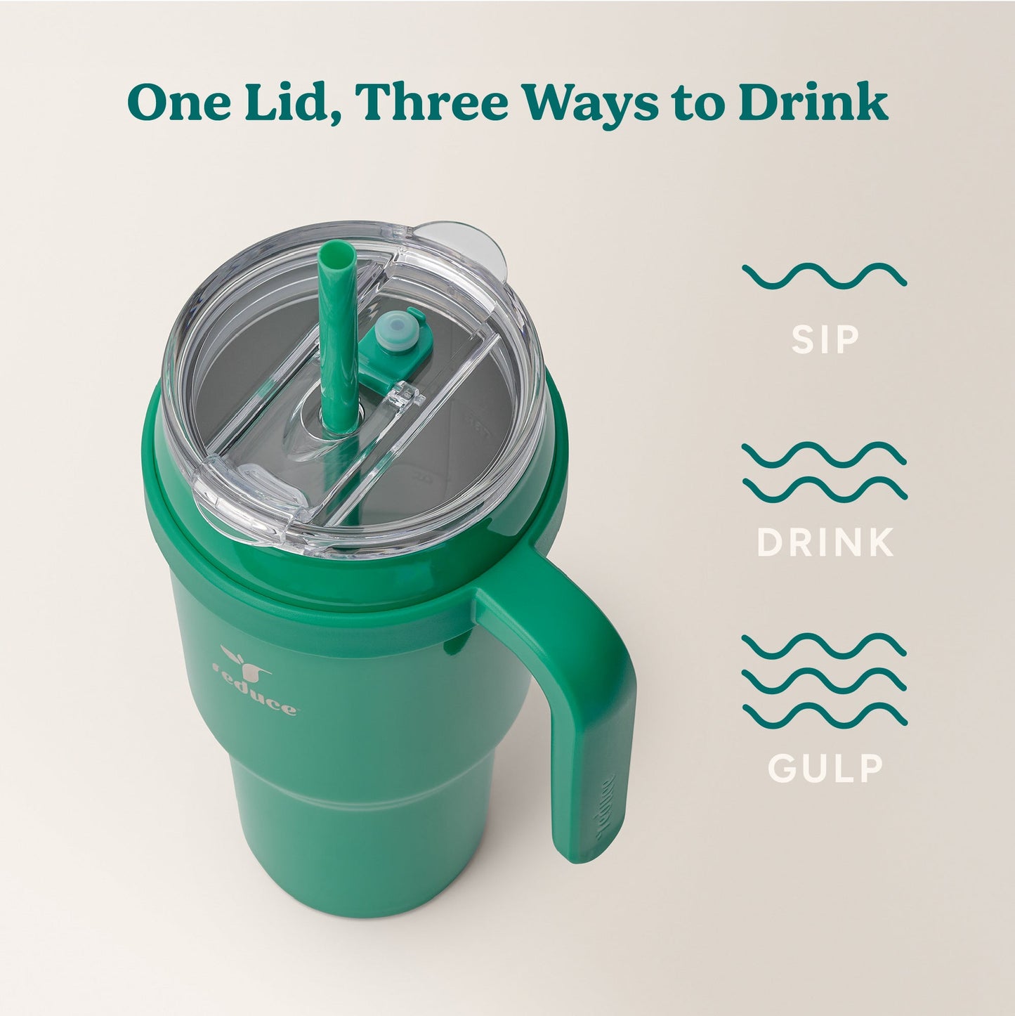 cold1-40-oz-q5 Cold1_40oz_PalmLeaf_Infographic_3.jpg