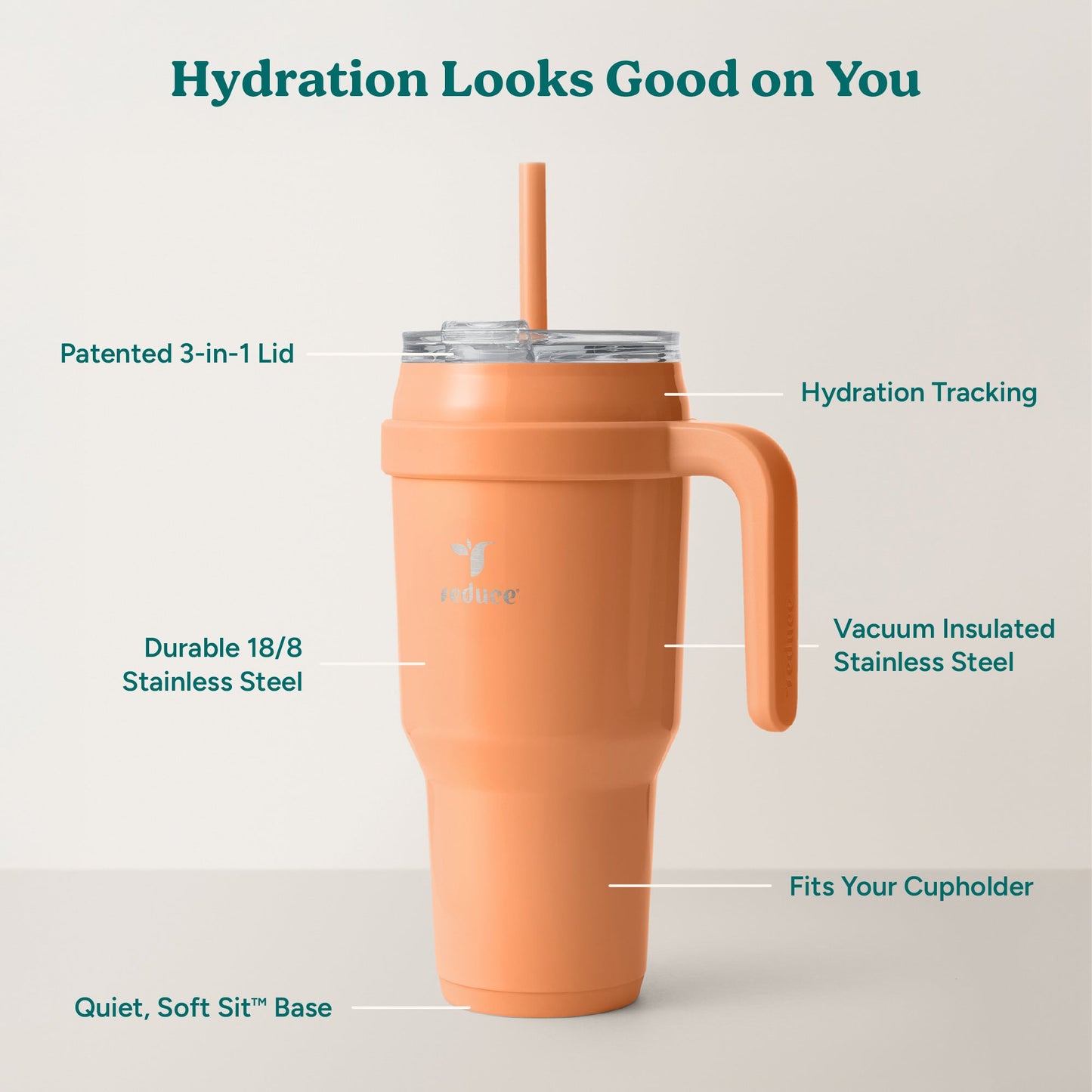 cold1-40-oz-q5 Cold1_40oz_Papaya_Infographic_2.jpg