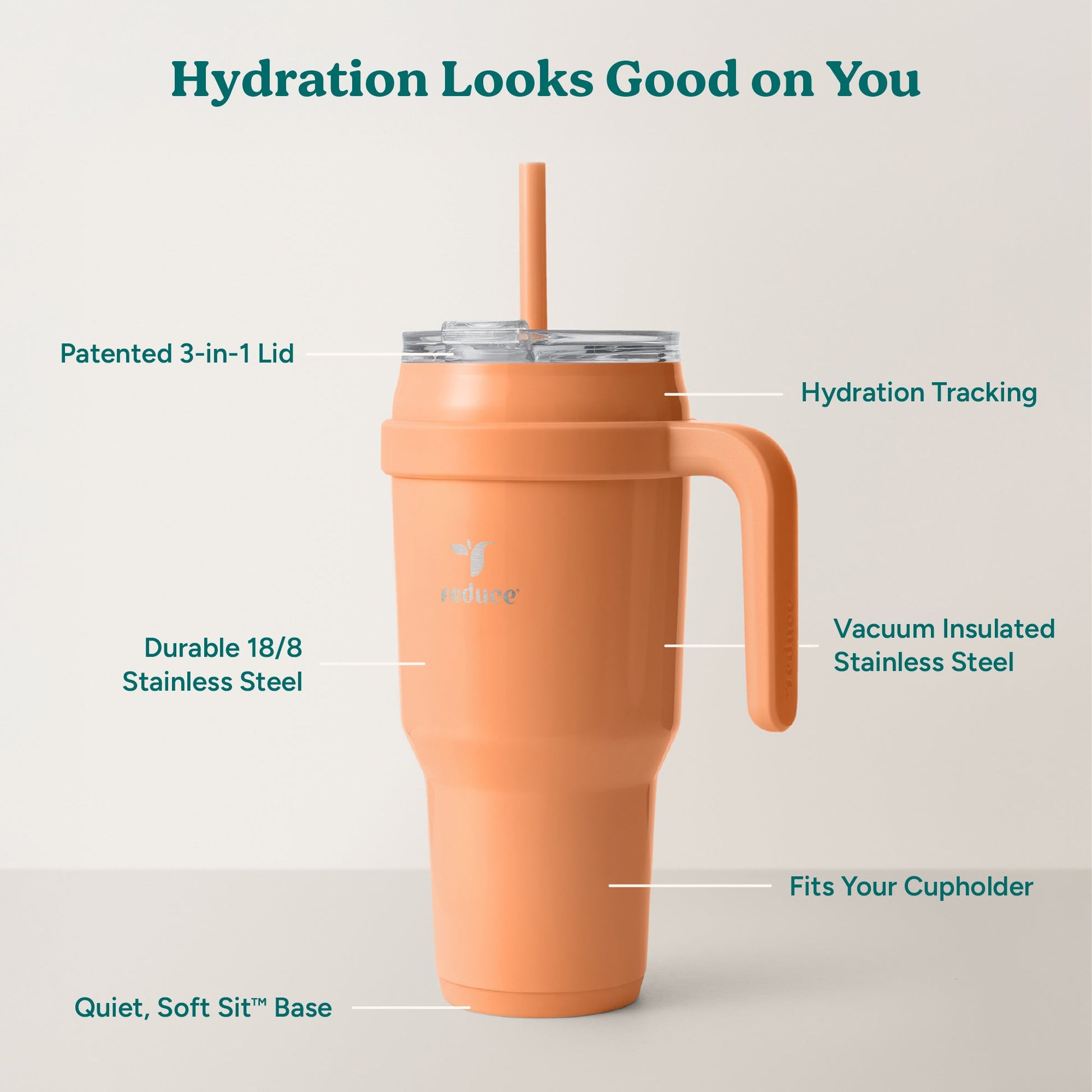 cold1-40-oz-q5 Cold1_40oz_Papaya_Infographic_2.jpg